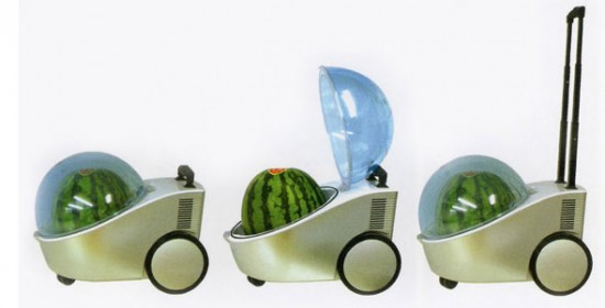 watermelon-cooler-550x280