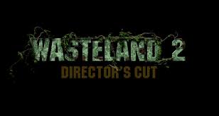 Wasteland 2 Director's Cut