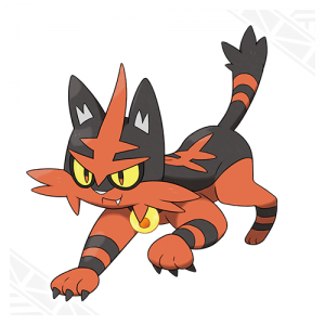 torracat